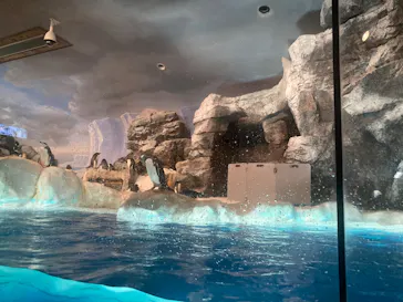 名古屋港水族館に投稿された画像（2026/3/24）