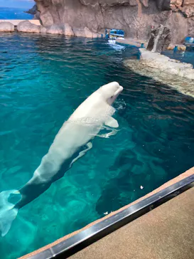 名古屋港水族館に投稿された画像（2026/3/24）