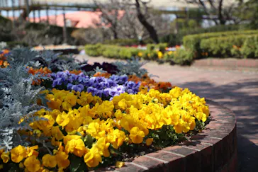 安城産業文化公園デンパークに投稿された画像（2026/3/24）