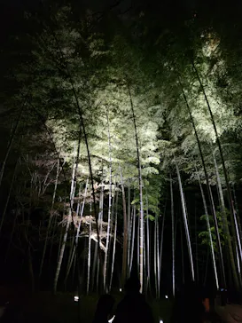 六義園に投稿された画像（2026/3/24）