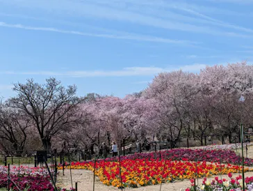 名古屋市東山動植物園に投稿された画像（2026/3/25）