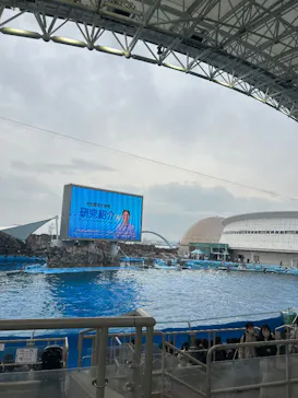 名古屋港水族館に投稿された画像（2026/3/25）