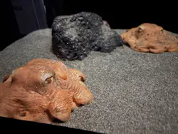 サンシャイン水族館に投稿された画像（2026/3/25）