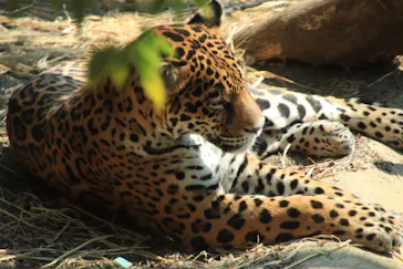 日立市かみね動物園に投稿された画像（2026/3/25）
