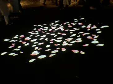 六義園に投稿された画像（2026/3/25）