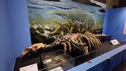 大絶滅展ー生命史のビッグファイブ（名古屋会場）に投稿された画像（2026/3/25）