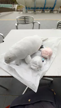 大絶滅展ー生命史のビッグファイブ（名古屋会場）に投稿された画像（2026/3/25）