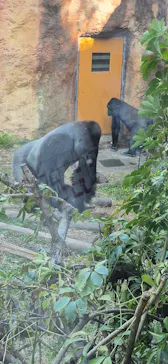 恩賜上野動物園に投稿された画像（2026/3/25）