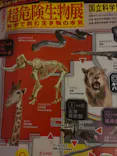 特別展「超危険生物展　科学で挑む生き物の本気」に投稿された画像（2026/3/25）