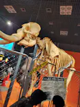 特別展「超危険生物展　科学で挑む生き物の本気」に投稿された画像（2026/3/25）