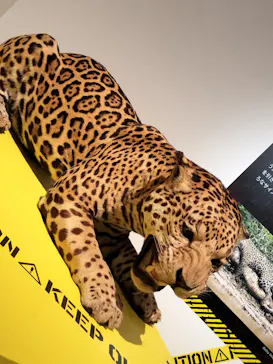 特別展「超危険生物展　科学で挑む生き物の本気」に投稿された画像（2026/3/25）