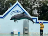 しながわ水族館に投稿された画像（2026/3/25）
