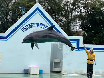 しながわ水族館に投稿された画像（2026/3/25）