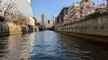 東京ウォータウェイズに投稿された画像（2026/3/25）