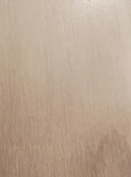 キッズランドUS 千葉ユーカリが丘店に投稿された画像（2026/3/25）