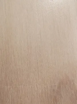 キッズランドUS 千葉ユーカリが丘店に投稿された画像（2026/3/25）