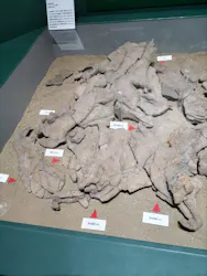 大絶滅展ー生命史のビッグファイブ（名古屋会場）に投稿された画像（2026/3/25）