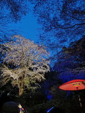 六義園に投稿された画像（2026/3/25）