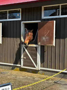 ノーザンホースパークに投稿された画像（2026/3/25）