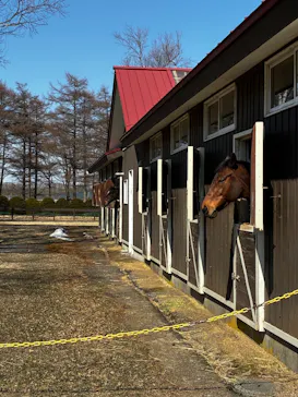 ノーザンホースパークに投稿された画像（2026/3/25）