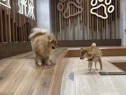 いぬカフェRio 鎌倉小町通り店に投稿された画像（2026/3/25）