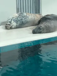 大分マリーンパレス水族館 「うみたまご」に投稿された画像（2026/3/25）