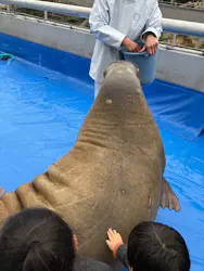 大分マリーンパレス水族館 「うみたまご」に投稿された画像（2026/3/25）