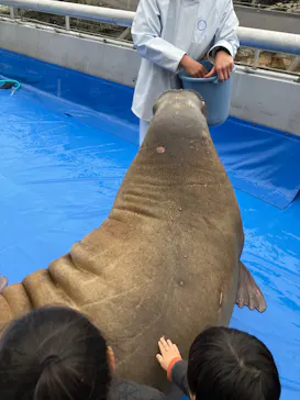 大分マリーンパレス水族館 「うみたまご」に投稿された画像（2026/3/25）
