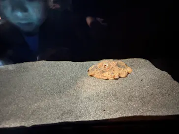 サンシャイン水族館に投稿された画像（2026/3/25）