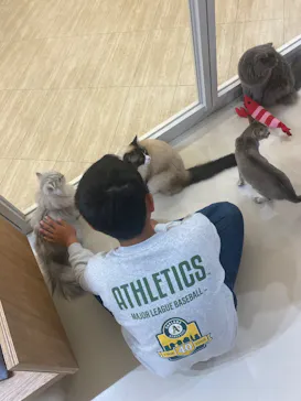 Cat Café MOFF 枚方モール店に投稿された画像（2026/3/25）