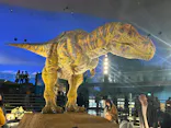 福井県立恐竜博物館に投稿された画像（2026/3/25）