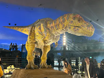 福井県立恐竜博物館に投稿された画像（2026/3/25）