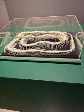 特別展「超危険生物展　科学で挑む生き物の本気」に投稿された画像（2026/3/25）