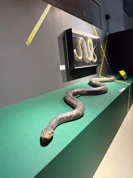 特別展「超危険生物展　科学で挑む生き物の本気」に投稿された画像（2026/3/25）