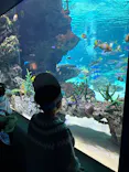 サンシャイン水族館に投稿された画像（2026/3/25）