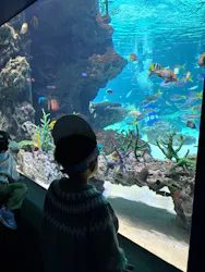 サンシャイン水族館に投稿された画像（2026/3/25）