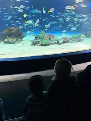 サンシャイン水族館に投稿された画像（2026/3/25）