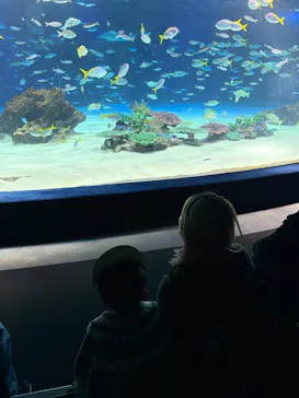 サンシャイン水族館に投稿された画像（2026/3/25）