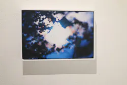 mirror, mirror, mirror mika ninagawaに投稿された画像（2026/3/25）