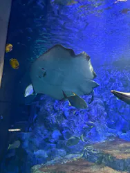 大分マリーンパレス水族館 「うみたまご」に投稿された画像（2026/3/25）