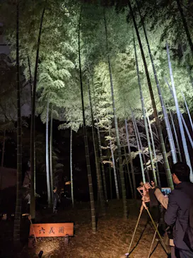 六義園に投稿された画像（2026/3/25）