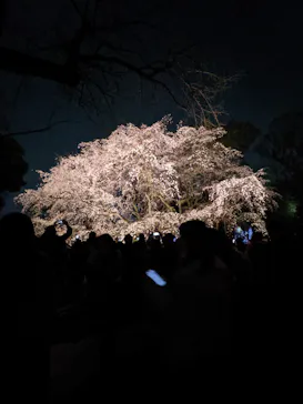 六義園に投稿された画像（2026/3/25）