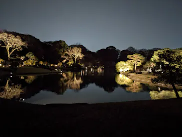 六義園に投稿された画像（2026/3/25）