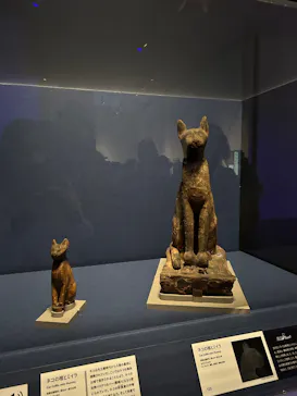 あべのハルカス美術館に投稿された画像（2026/3/25）