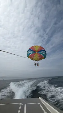 Sea World（シーワールド）に投稿された画像（2026/3/25）