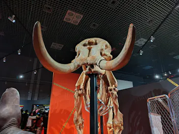 特別展「超危険生物展　科学で挑む生き物の本気」に投稿された画像（2026/3/25）