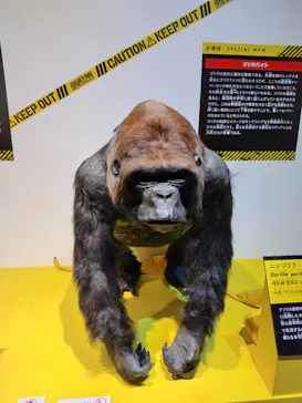 特別展「超危険生物展　科学で挑む生き物の本気」に投稿された画像（2026/3/25）