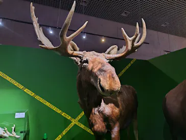 特別展「超危険生物展　科学で挑む生き物の本気」に投稿された画像（2026/3/25）