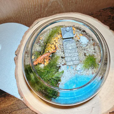 Terrariums 渋谷ヒカリエ店に投稿された画像（2026/3/25）