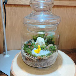 Terrariums 渋谷ヒカリエ店に投稿された画像（2026/3/25）